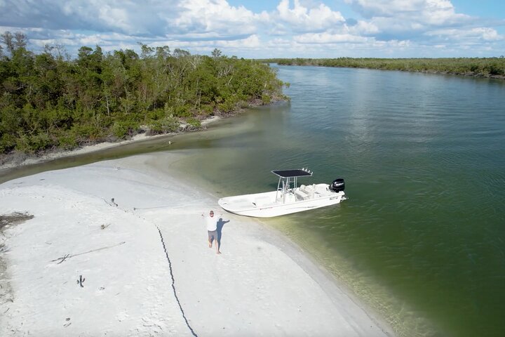 Private Shelling and Dolphin Excursion