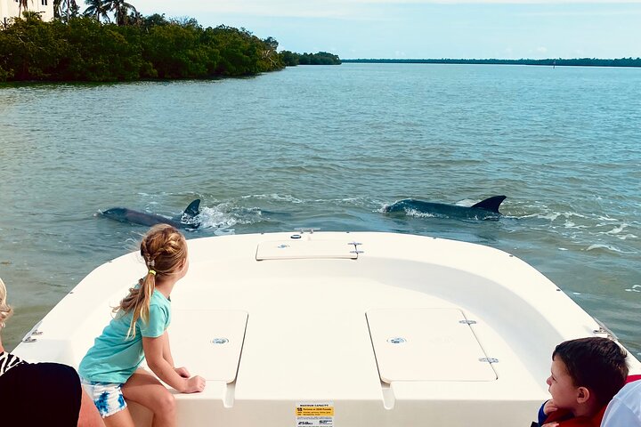 Private Shelling and Dolphin Excursion