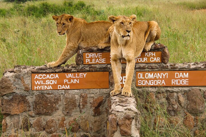 Nairobi National Park, Elephant Orphanage and Giraffe Centre