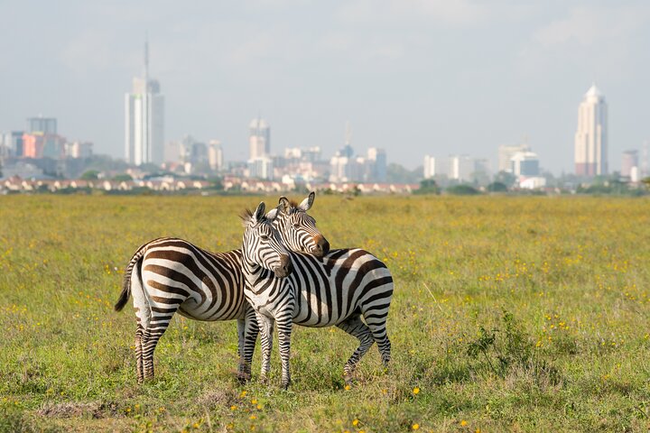 Nairobi National Park, Elephant Orphanage and Giraffe Centre