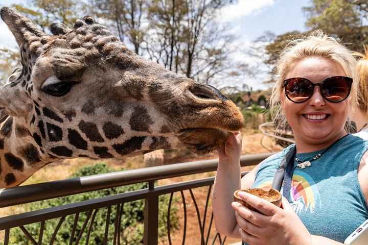 Nairobi National Park, Elephant Orphanage and Giraffe Centre