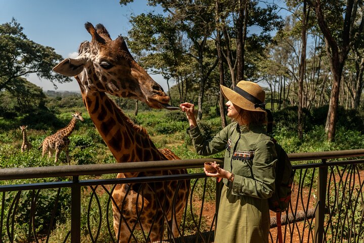 Nairobi National Park, Elephant Orphanage and Giraffe Centre
