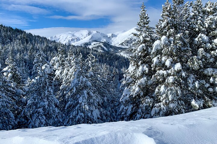 Snowshoes in Andorra from Barcelona
