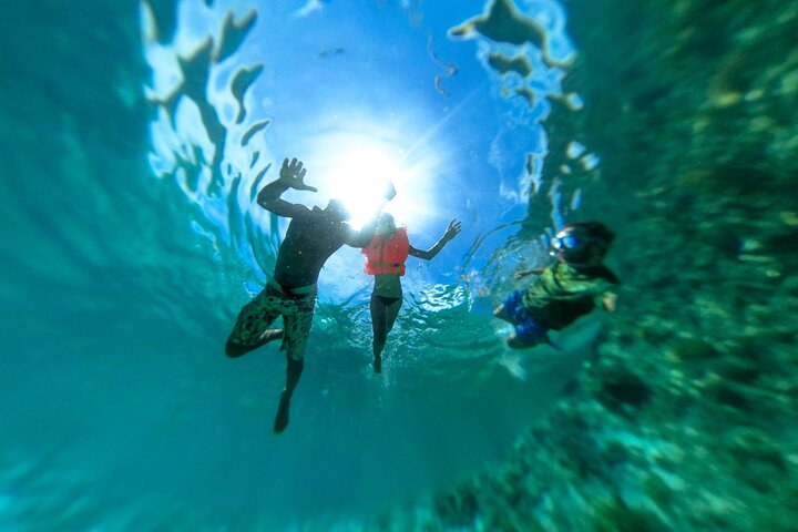 Zanzibar: Mnemba Snorkeling