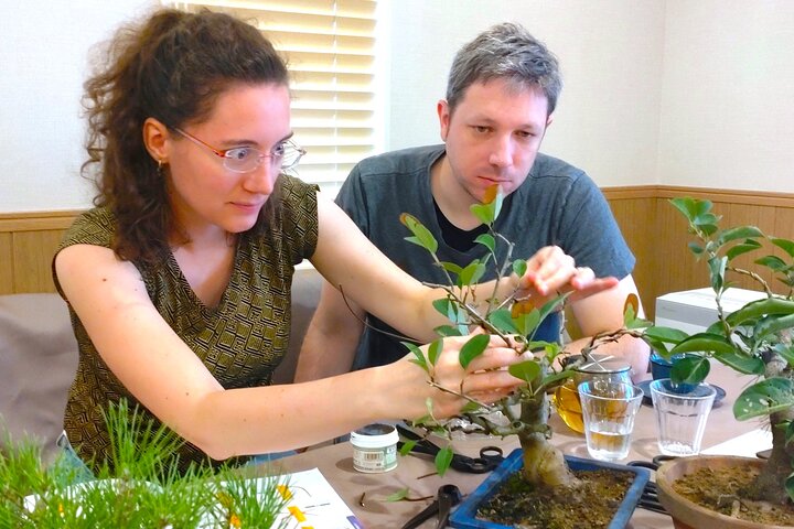 Bonsai Art Tour & Experience in Japan's Most Sacred "Bonsai City"