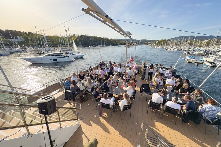 Guided Sightseeing Cruise on Oslofjord by Premium Silent Boat