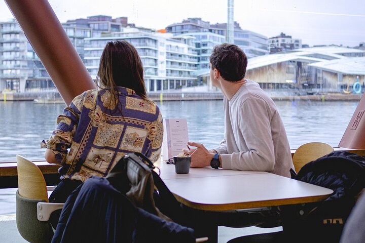 Guided Sightseeing Cruise on Oslofjord by Premium Silent Boat