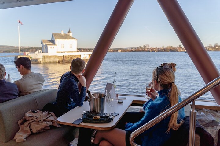 Guided Sightseeing Cruise on Oslofjord by Premium Silent Boat