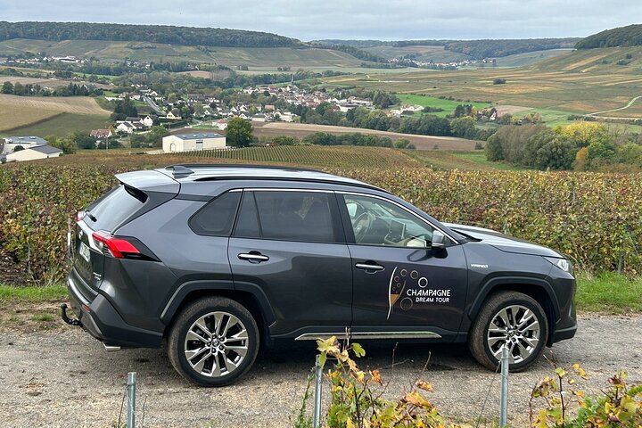 One Day Tour in Champagne with Lunch and Tasting