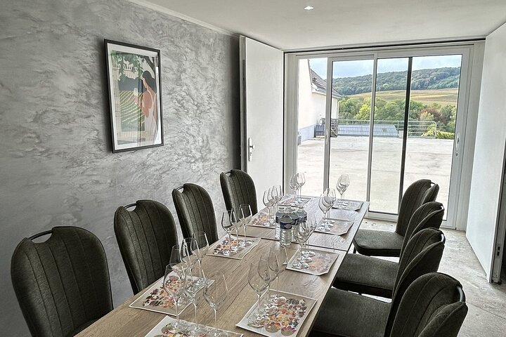 One Day Tour in Champagne with Lunch and Tasting