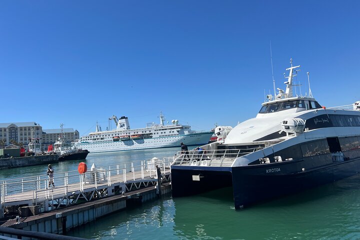 Robben Island Half-Day Tour with Ticket, Hotel Pickup & Drop-Off