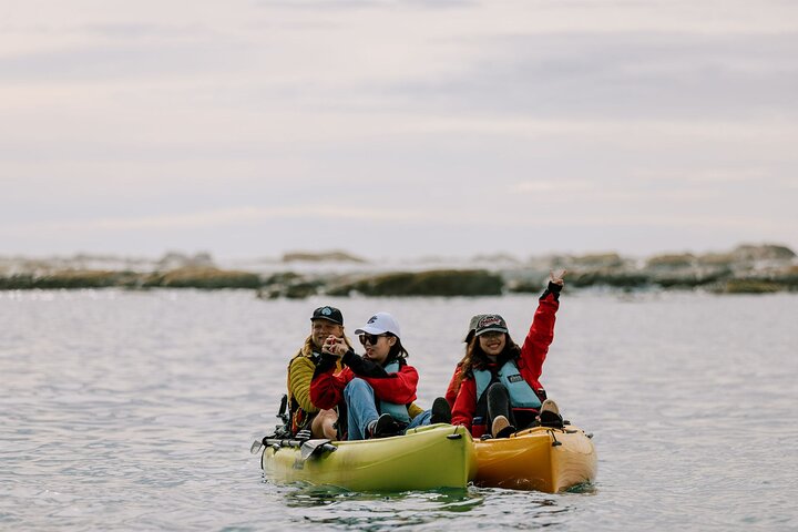 Private Seal Kayaking and Wildlife Tour in Kaikoura