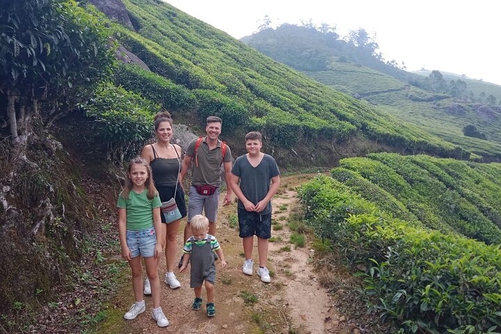 Green Magic Day Tour to Munnar