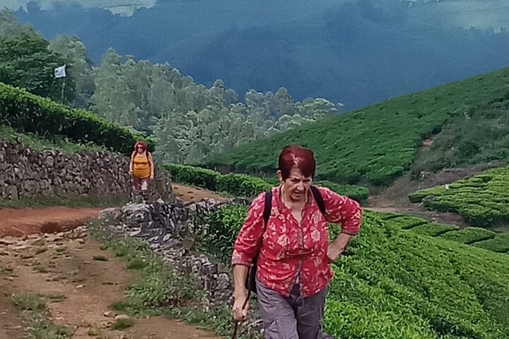 Green Magic Day Tour to Munnar