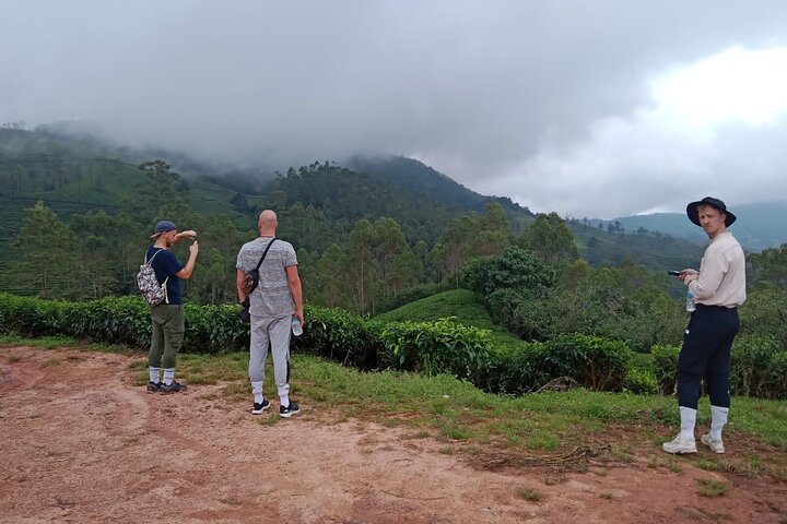Green Magic Day Tour to Munnar
