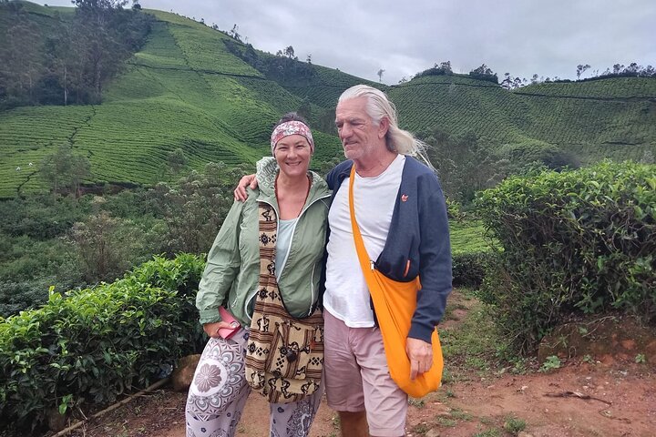 Green Magic Day Tour to Munnar