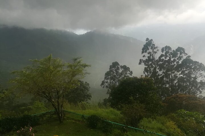 Green Magic Day Tour to Munnar