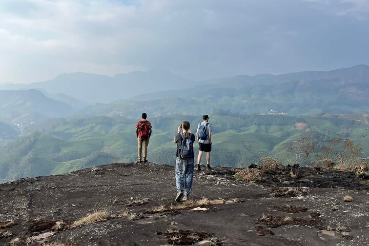 Green Magic Day Tour to Munnar