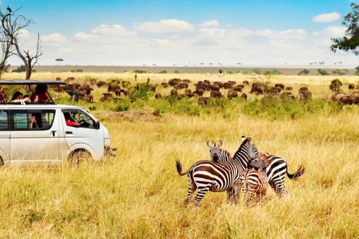 3 Days, 2 Nights Maasai Mara Private Safari - 4 x 4 Safari Jeep