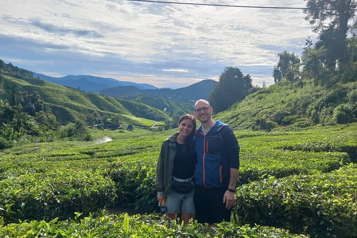 Cameron Highland Private Day Tour From Ipoh