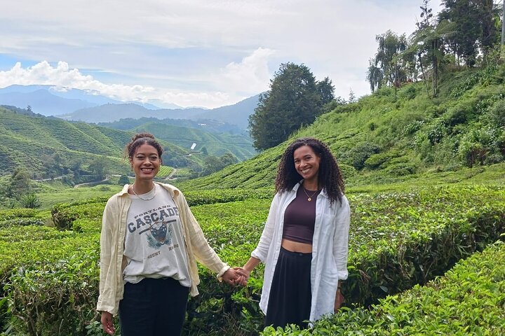Cameron Highland Private Day Tour From Ipoh