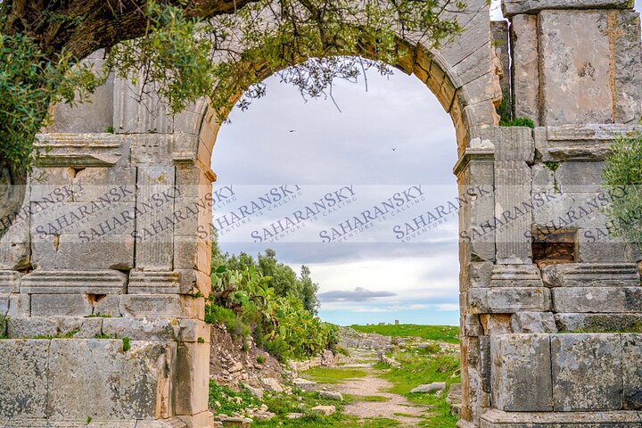 Full Day Dougga & Bulla Regia Via Testour Private tour with Lunch