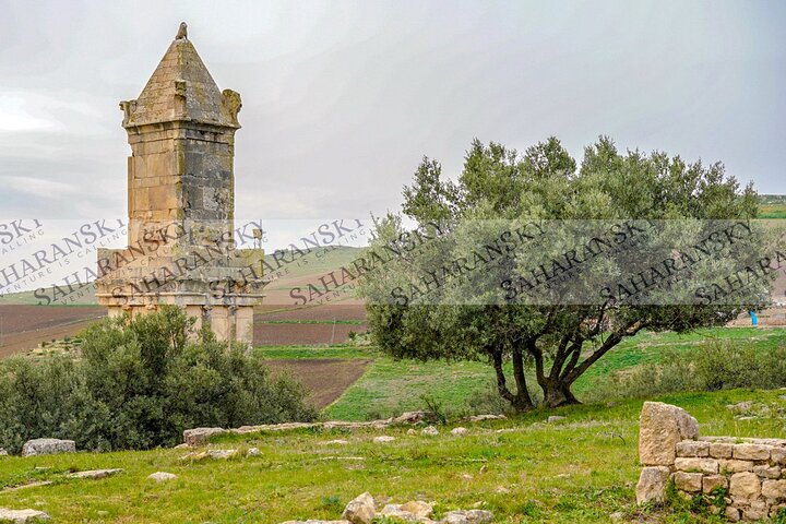 Full Day Dougga & Bulla Regia Via Testour Private tour with Lunch