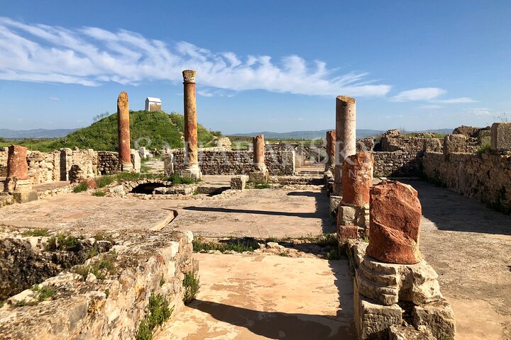 Full Day Dougga & Bulla Regia Via Testour Private tour with Lunch