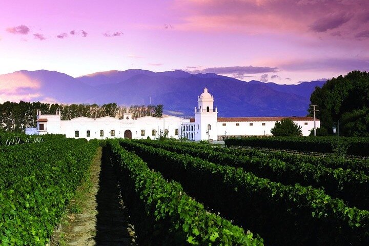 Tour to Cafayate from Salta