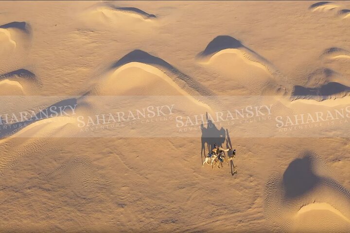 3-Day Tunisia Sahara Desert Camel Trek from Douz
