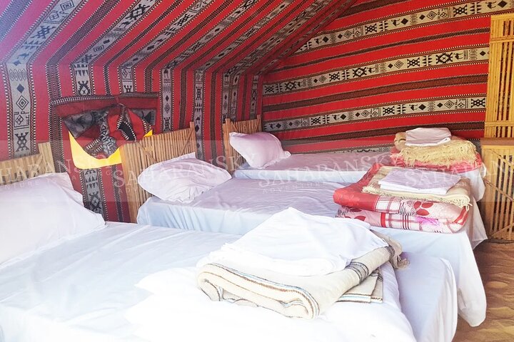 3-Day Tunisia Sahara Desert Camel Trek from Douz