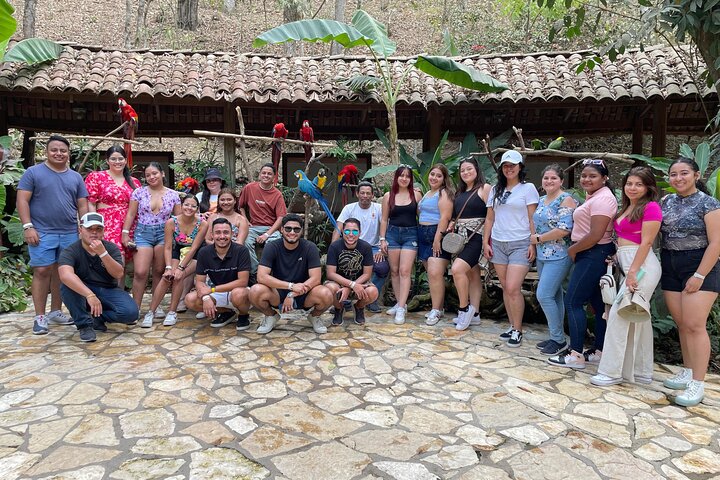 Copan Bird Park
