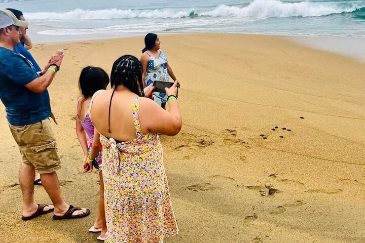 Manzanillo Tour with Transportation and Face-to-face Guide