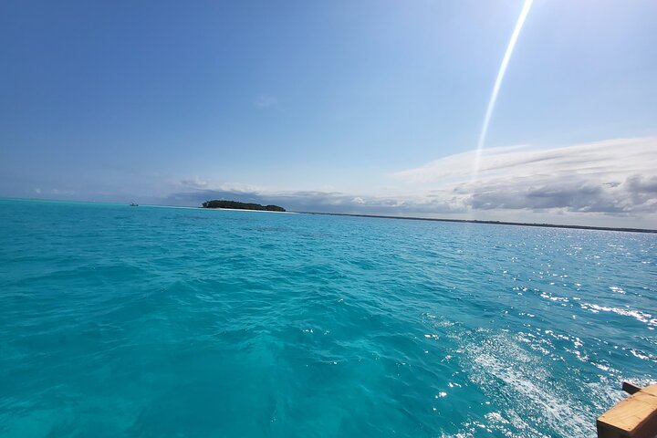 Zanzibar: Mnemba Snorkeling