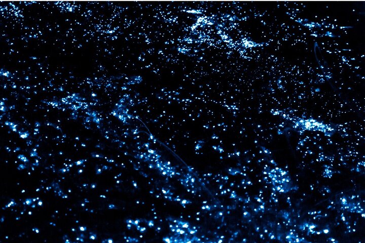 Bioluminescence by kayak or SUP to Los Arcos Puerto Vallarta