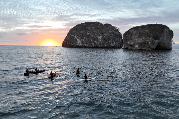 Bioluminescence by kayak or SUP to Los Arcos Puerto Vallarta