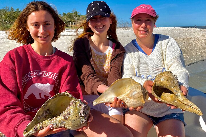 Private Shelling and Dolphin Excursion