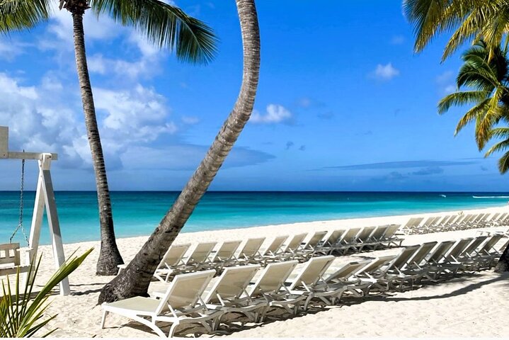 From Santo Domingo Saona Island Food And Drink Catamaran Vip