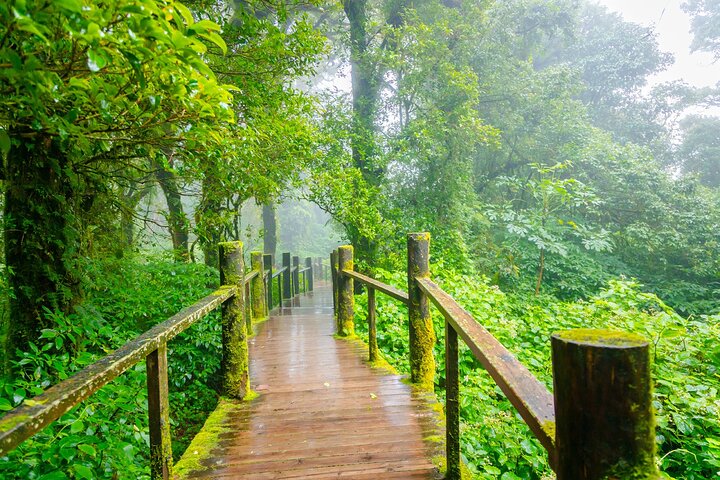 Doi Inthanon National Park, Waterfall & Royal Project Day Tour From Chiang Mai