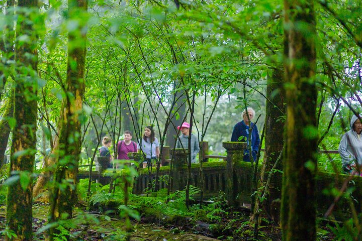 Doi Inthanon National Park, Waterfall & Royal Project Day Tour From Chiang Mai
