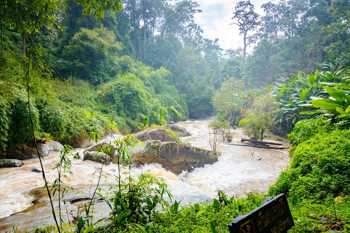 Doi Inthanon National Park, Waterfall & Royal Project Day Tour From Chiang Mai