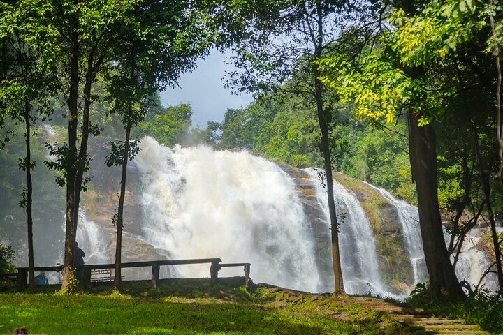 Doi Inthanon National Park, Waterfall & Royal Project Day Tour From Chiang Mai