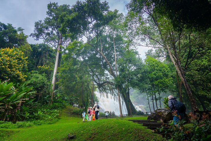 Doi Inthanon National Park, Waterfall & Royal Project Day Tour From Chiang Mai