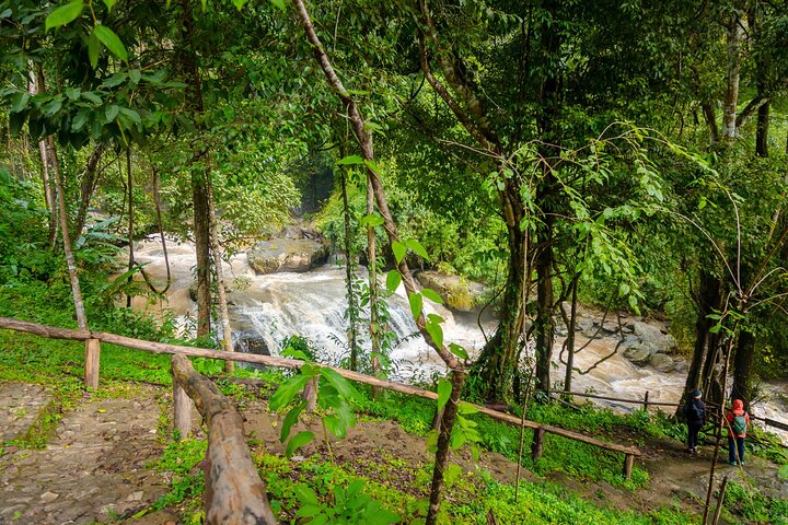 Doi Inthanon National Park, Waterfall & Royal Project Day Tour From Chiang Mai