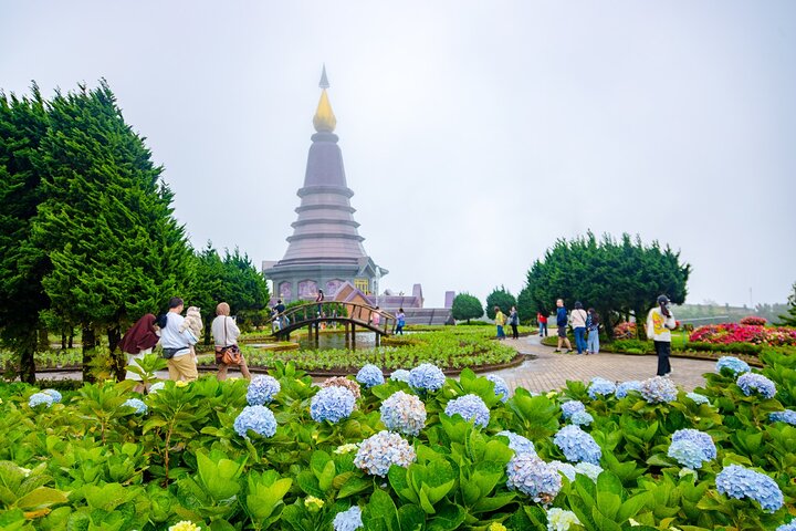 Doi Inthanon National Park, Waterfall & Royal Project Day Tour From Chiang Mai