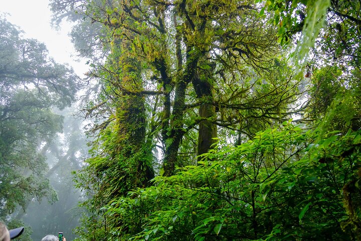Doi Inthanon National Park, Waterfall & Royal Project Day Tour From Chiang Mai