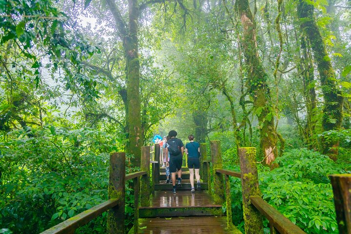 Doi Inthanon National Park, Waterfall & Royal Project Day Tour From Chiang Mai
