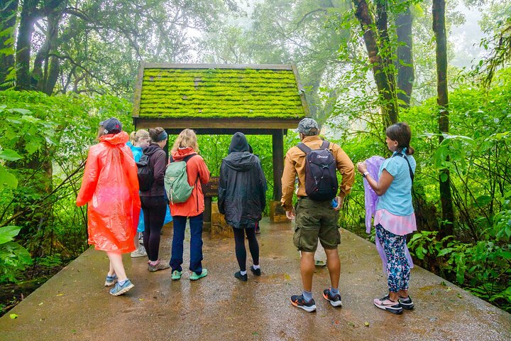 Doi Inthanon National Park, Waterfall & Royal Project Day Tour From Chiang Mai