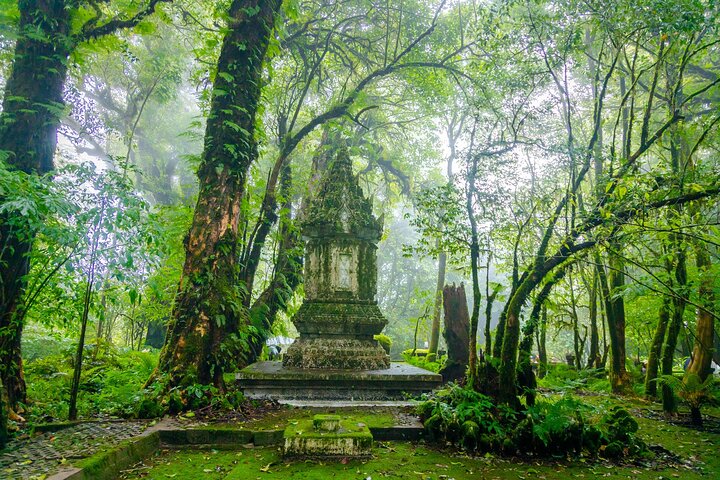 Doi Inthanon National Park, Waterfall & Royal Project Day Tour From Chiang Mai