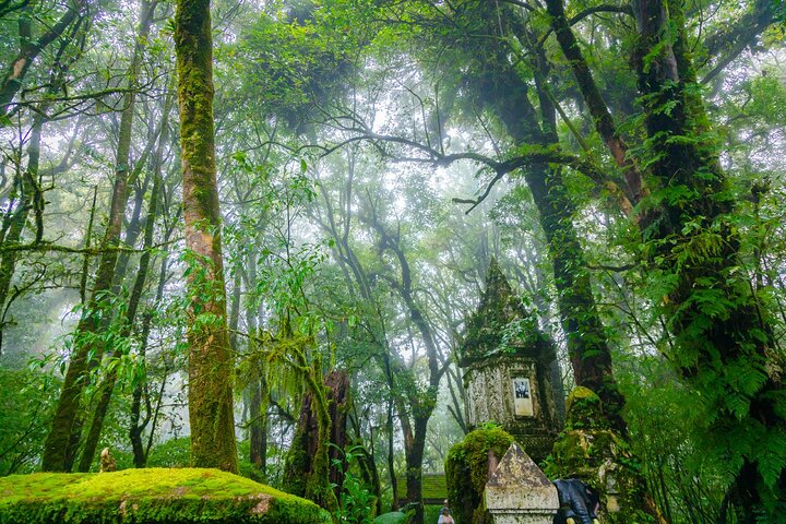 Doi Inthanon National Park, Waterfall & Royal Project Day Tour From Chiang Mai